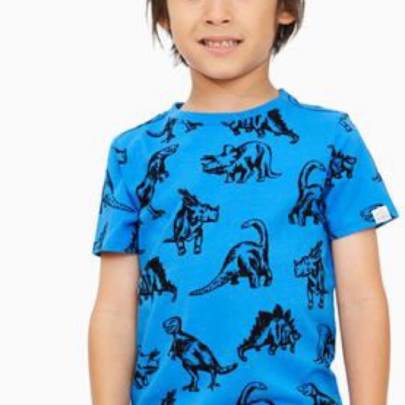 Organic Dino tee - Picture 1 of 5